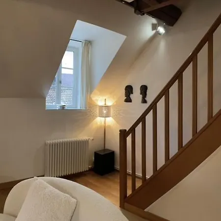 Le Vauban Apartment Dijon